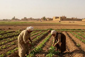        العاملون في مجال الزراعة المستمرة للاكتفاء الذاتي (الكفاف)     